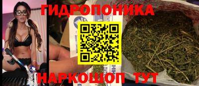 apvp Ливны